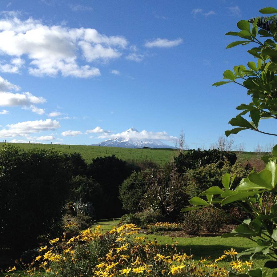 Punehu Stream CottageOpunake エクステリア 写真