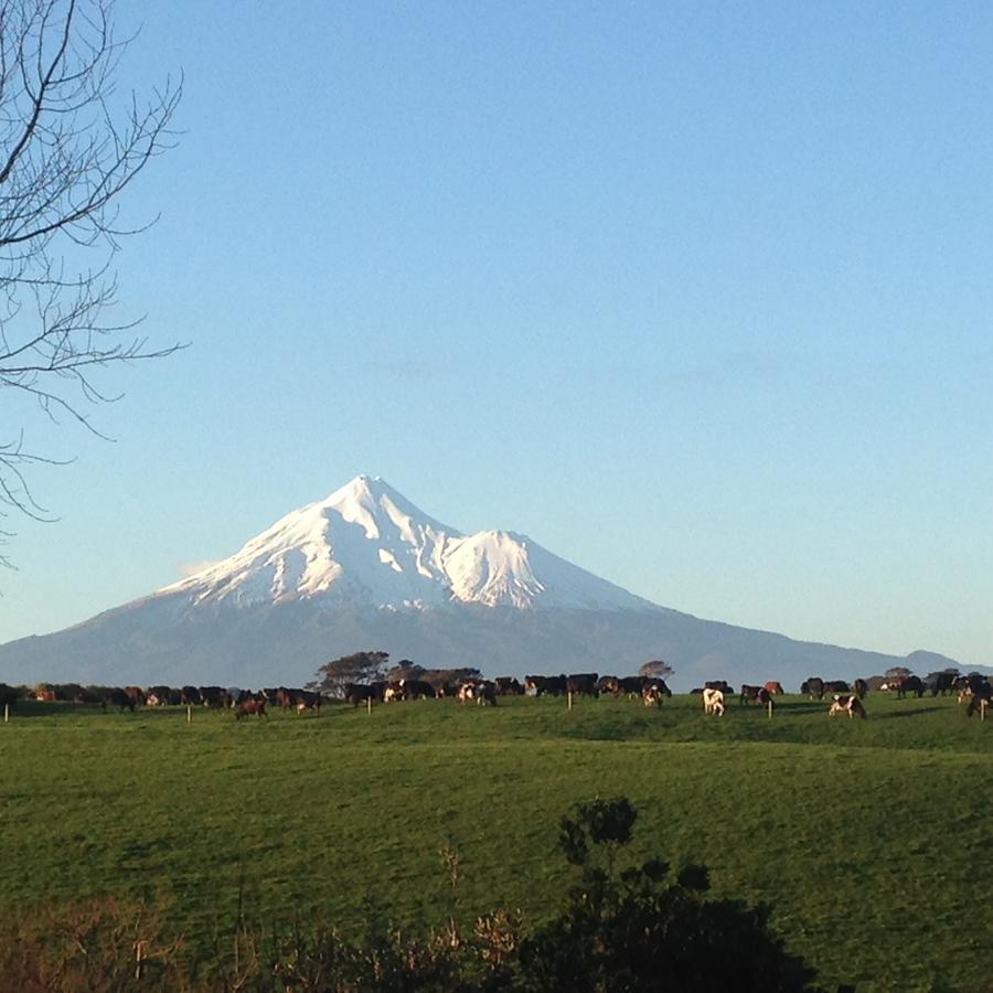 Punehu Stream CottageOpunake エクステリア 写真